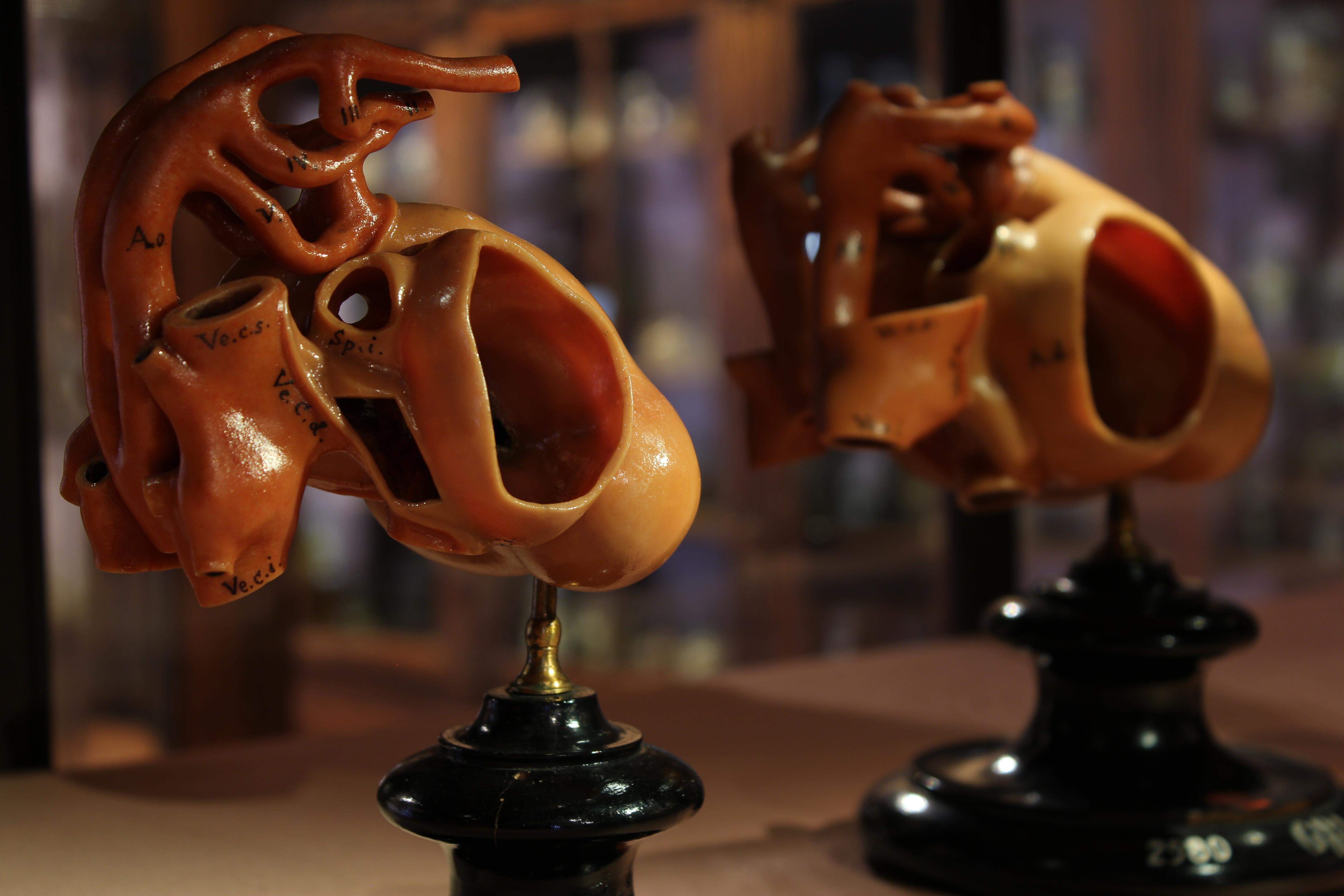 GEP 2024 - MUSA apertura straordinaria